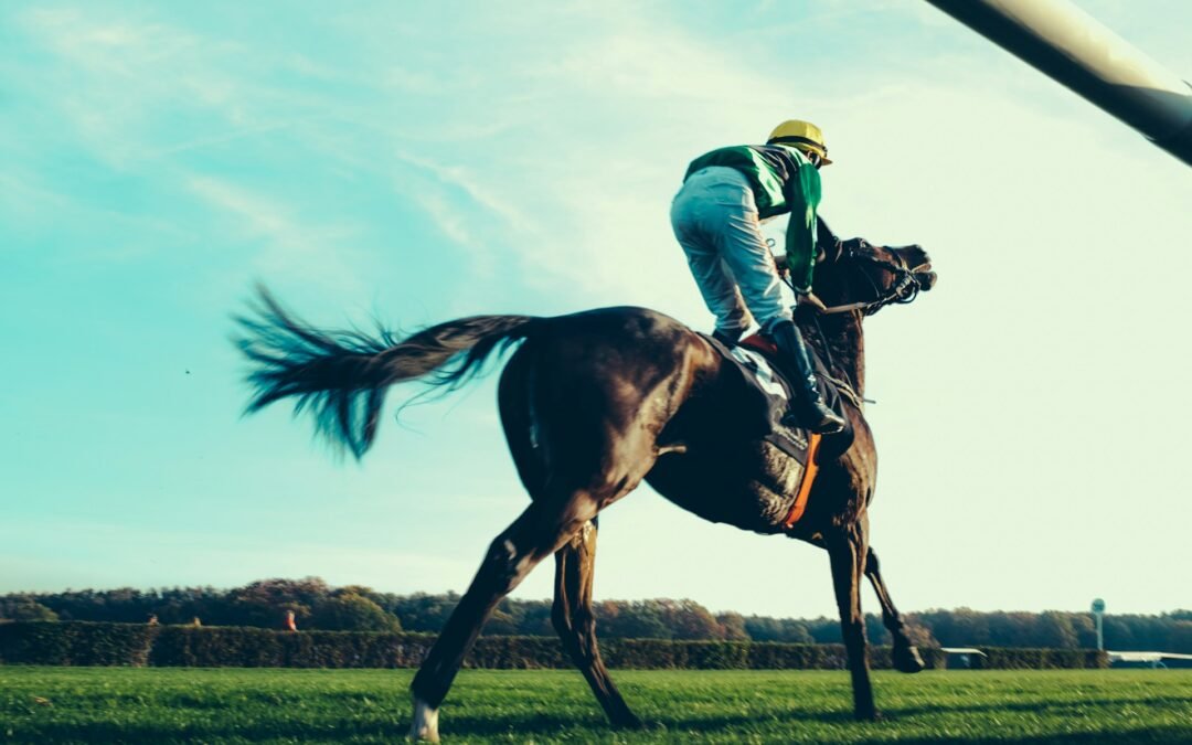 Horse Racing Bets