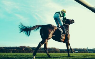 February 2026 | CH Racing Services +£588.00 Profit – Horse Racing Tips Results