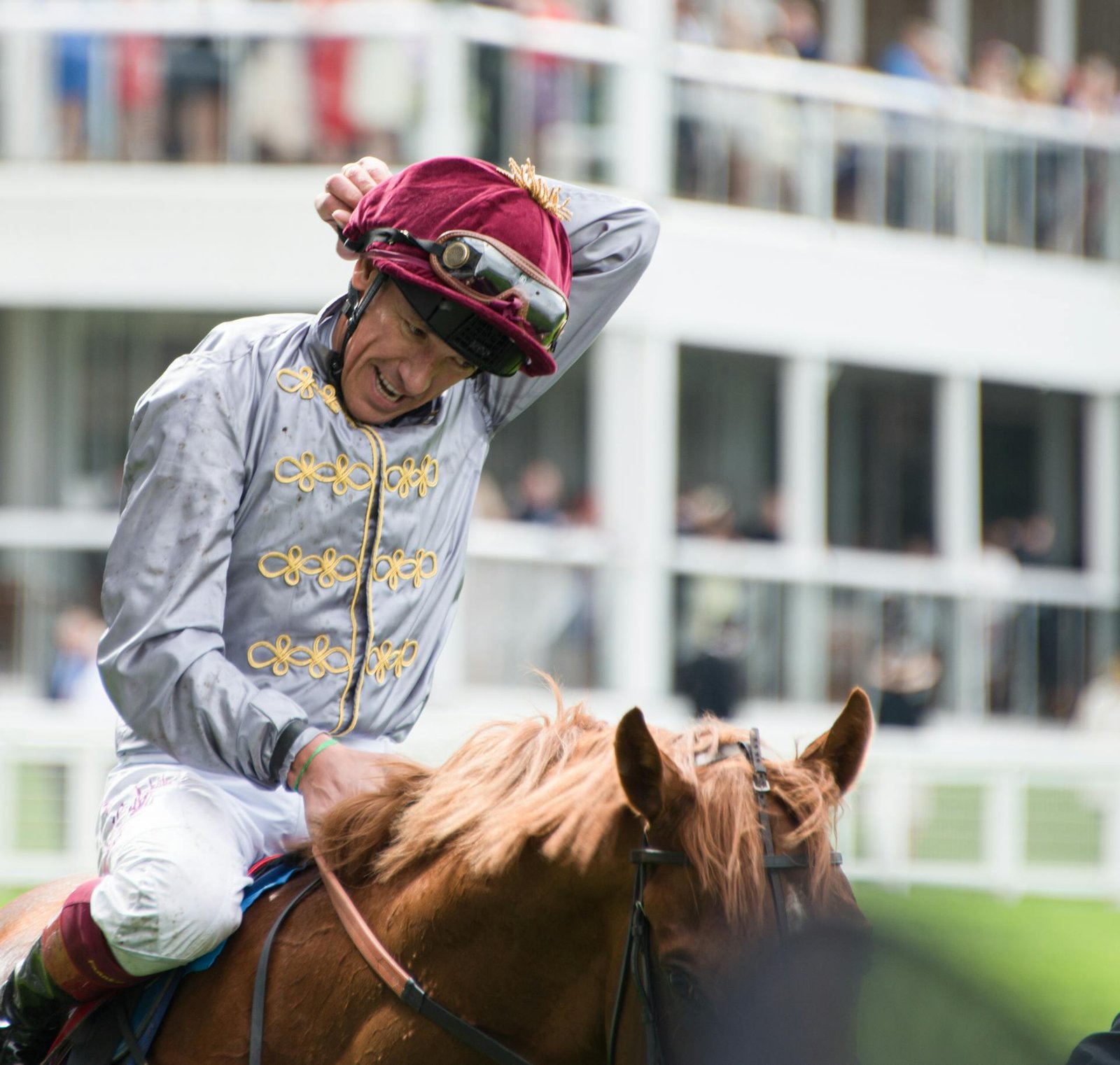 Horse Racing Subscription