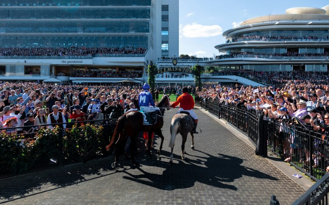 Winning Horse Race