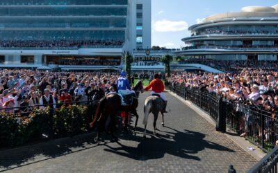 Horse Racing Tips Results – May 2026 | CH Racing Services Delivers Another Profitable Month