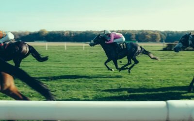 🏇 CH RACING SERVICES – MAY 2026 (RUNNING PROFIT / LOSS)