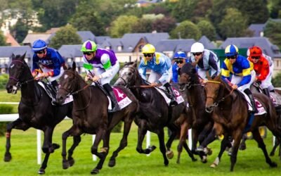 Horse Racing Tips Results – May 2026 | CH Racing Services Bounces Back Strongly