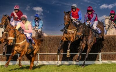 🏇 CH Racing Services – Mid-Month Update (1st–15th July)